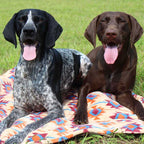 Manta para Mascotas "Southwest" Tall Tails