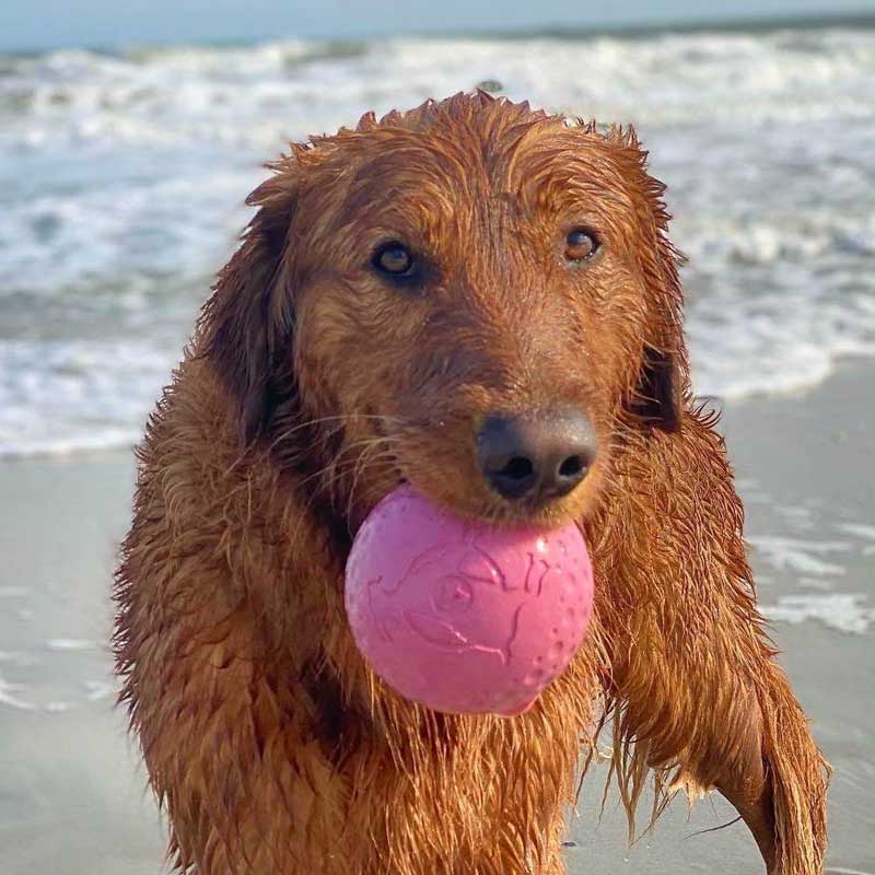 Juguete Pelota de Caucho Natural Tall Tails