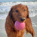 Juguete Pelota de Caucho Natural Tall Tails