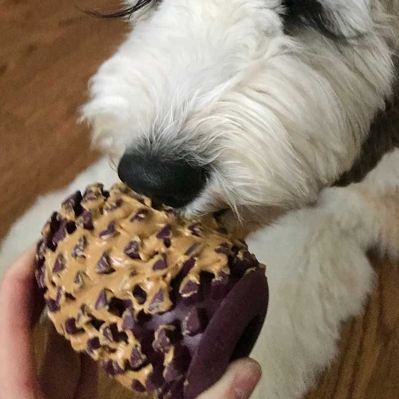 Juguete Pinecone de Caucho Natural Tall Tails