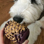 Juguete Pinecone de Caucho Natural Tall Tails