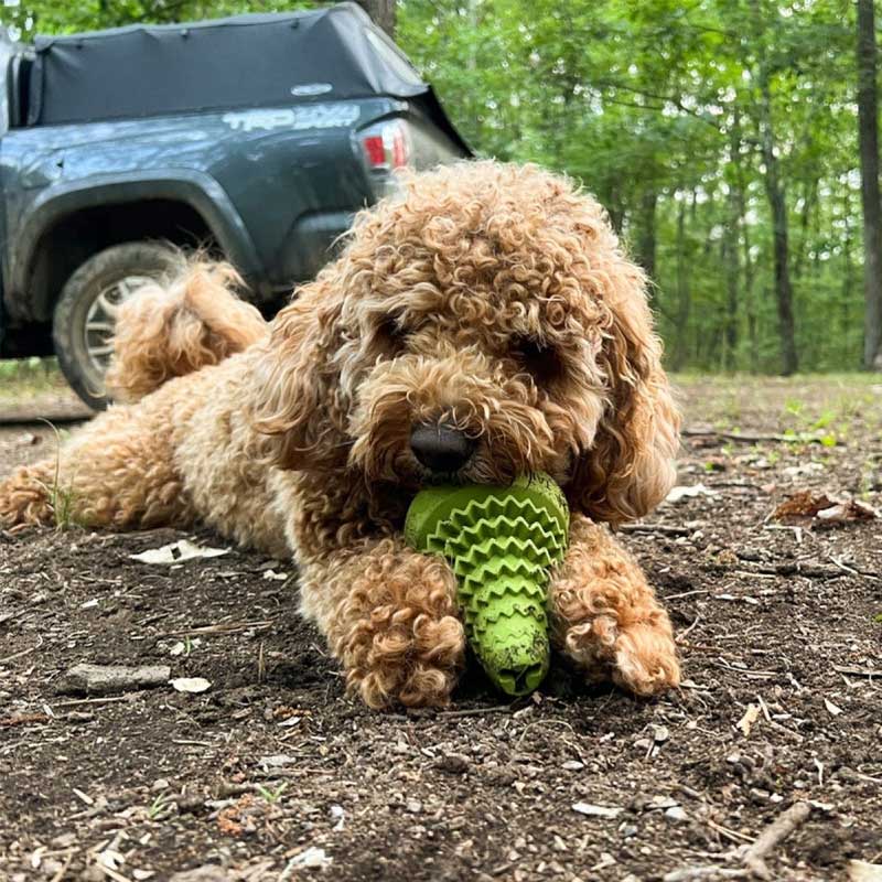 Juguete Pino de Caucho Natural Tall Tails