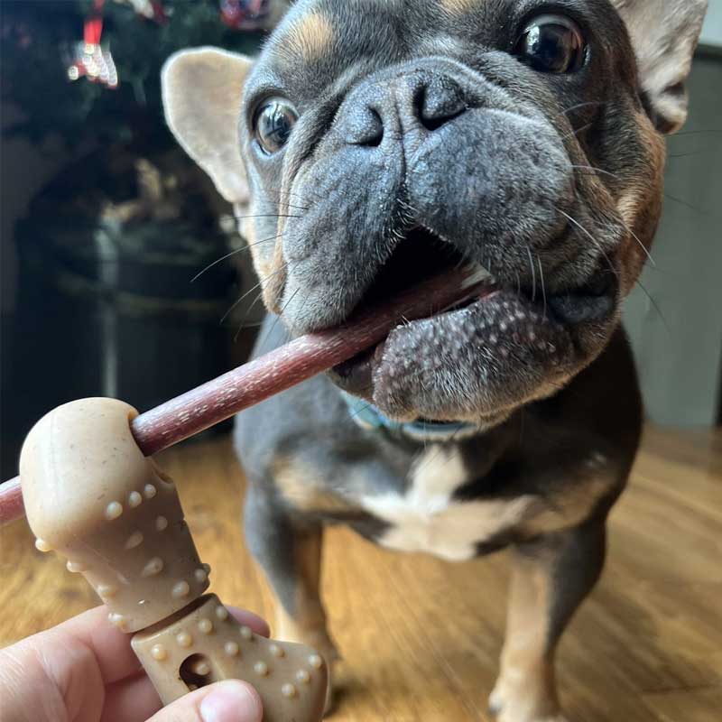 Juguete Masticable Porta Stick Tall Tails