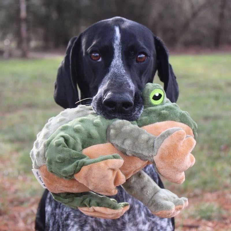 Peluche Sapo Animado Tall Tails