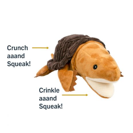 Tortuga Caimán con Sonido Tall Tails