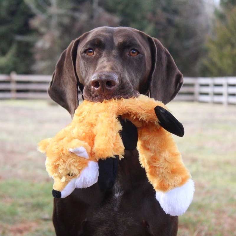 Peluche Zorro Sin Relleno con Sonido y Cuerda Interior Tall Tails