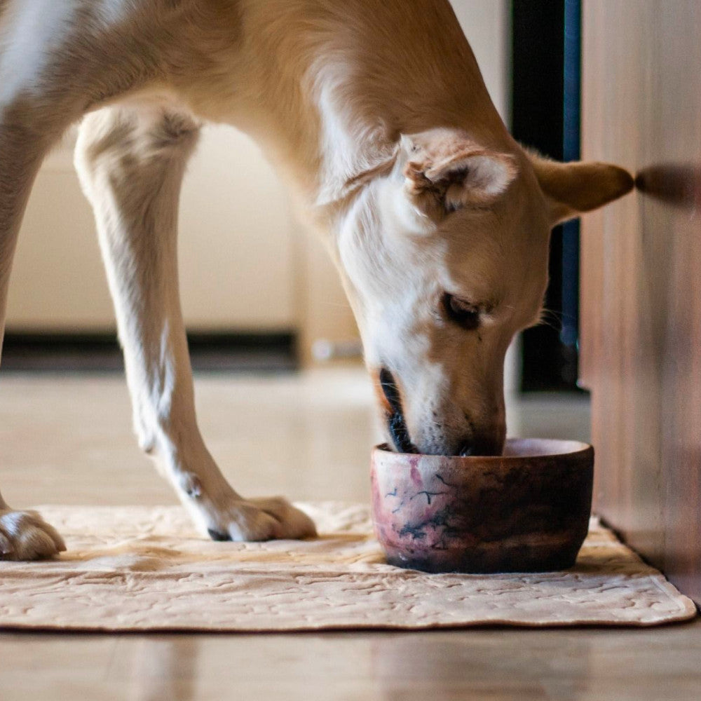 Tapete Absorbente para Perros Tall Tails