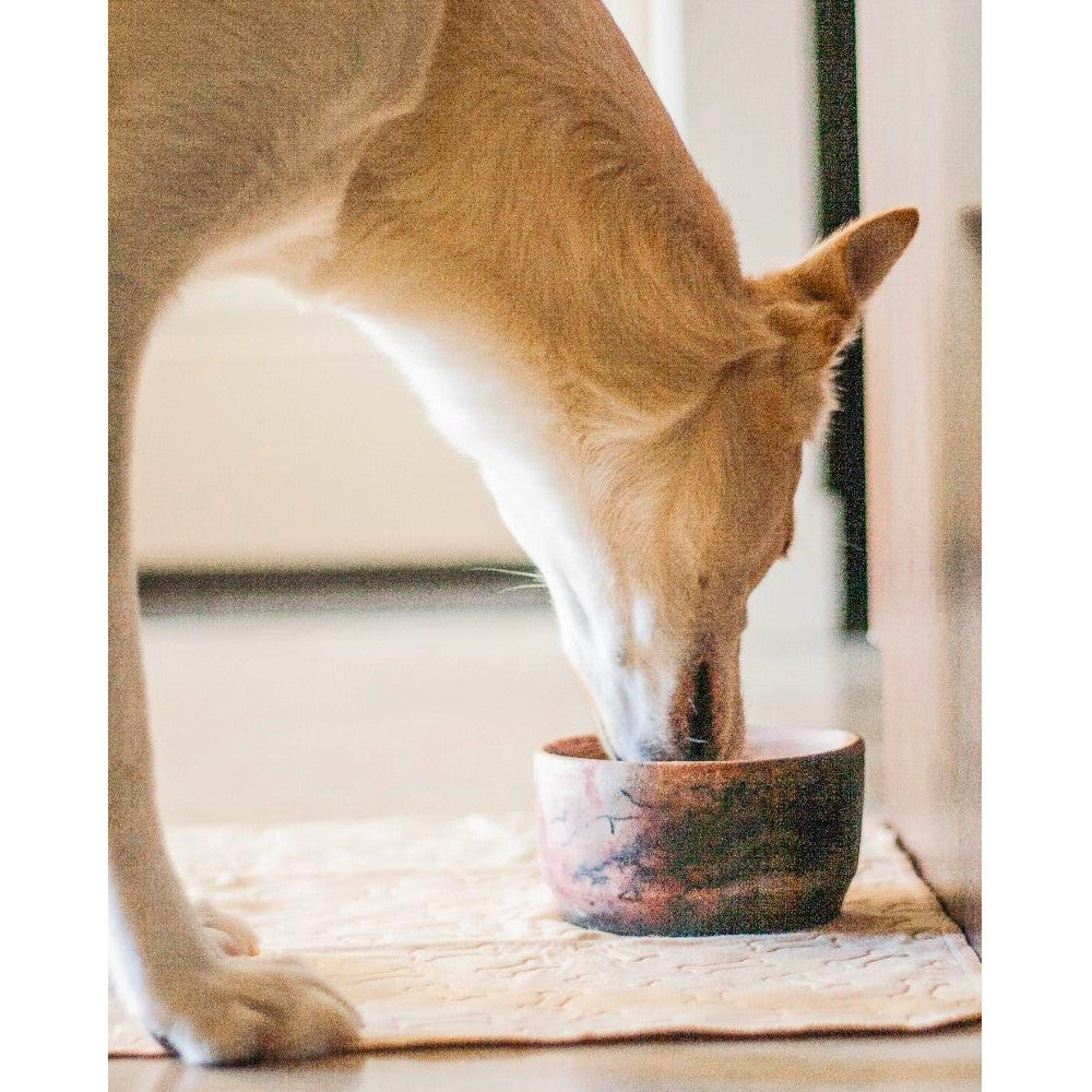 Tapete Absorbente para Perros Tall Tails