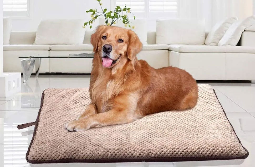 Pawise Mat Teflon Impermeable 