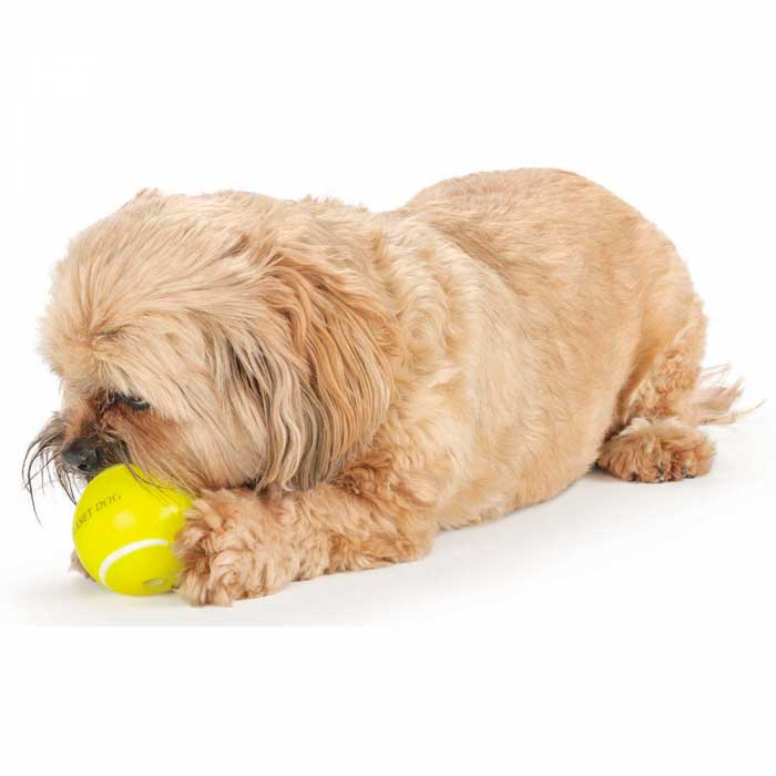 Planet Dog Pelota de Deportes Tenis