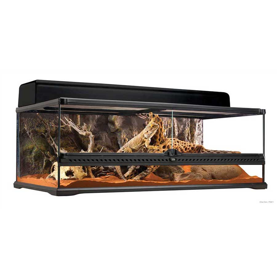 Exo Terra Terrario Large Bajo
