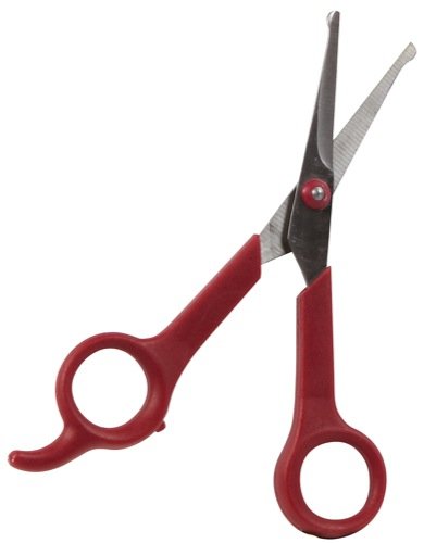 Tijeras de Pelo para Perros