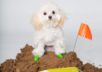 Botas de Goma PawZ Talla Tiny
