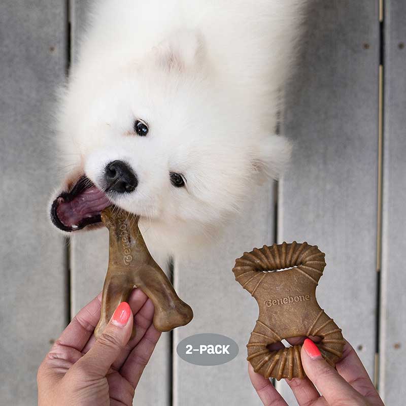 Benebone Tiny "2 pack" Tocino