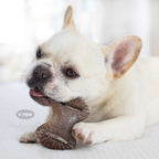 Benebone Tiny "2 pack" Tocino