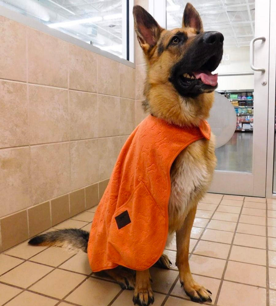 Toalla Capa con Bolsillos para Perros Tall Tails