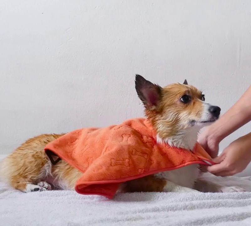 Toalla Capa con Bolsillos para Perros Tall Tails