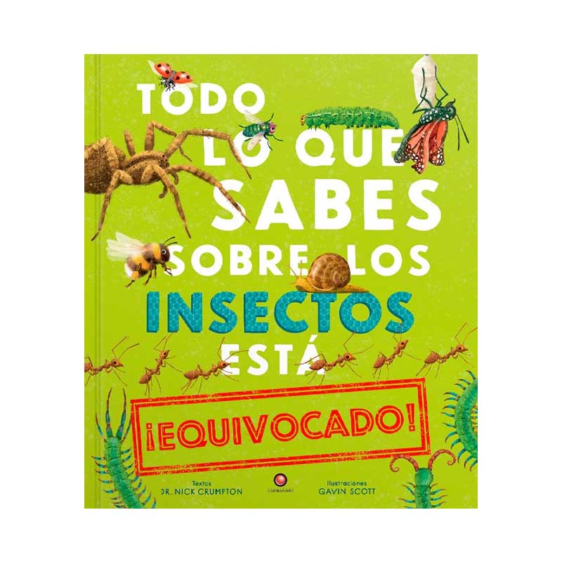 Todo Lo Que Sabes Sobre Los Insectos Está Equivocado