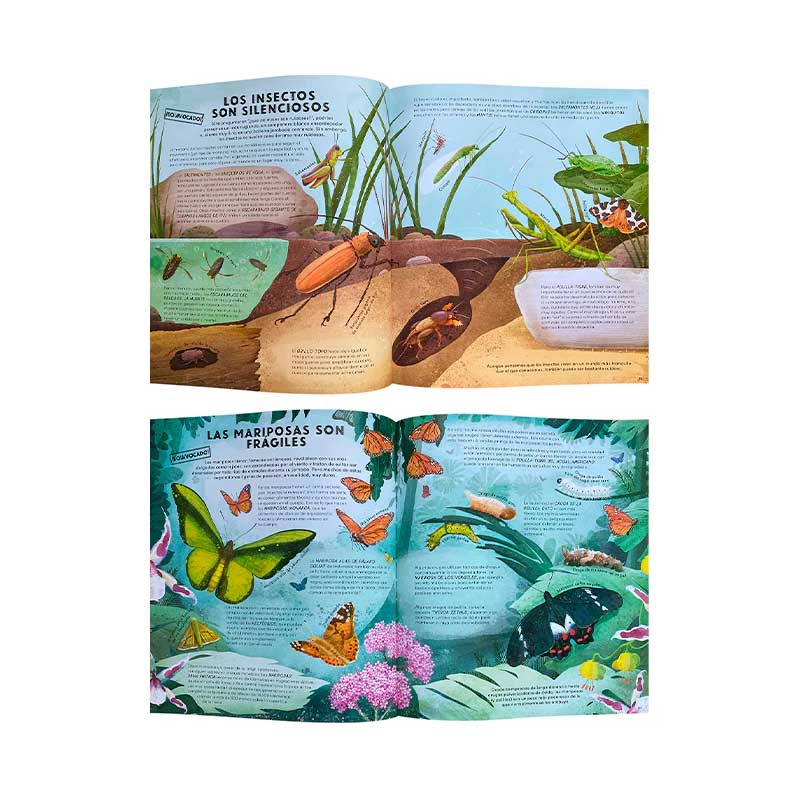 Todo Lo Que Sabes Sobre Los Insectos Está Equivocado