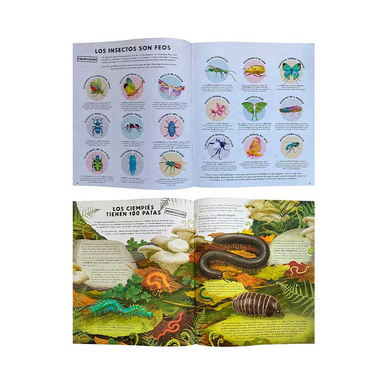 Todo Lo Que Sabes Sobre Los Insectos Está Equivocado