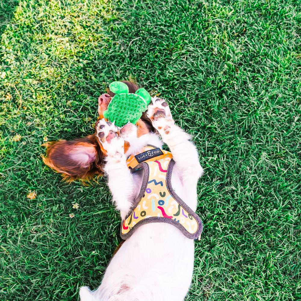 Peluche Tortuga Bebé con Sonido Tall Tails