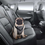 AFP Travel Dog Arnés de Seguridad - 2XL