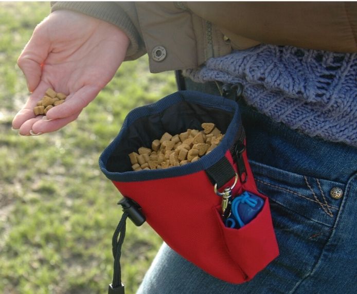 Bolso para Premios Company of Animals - Morado