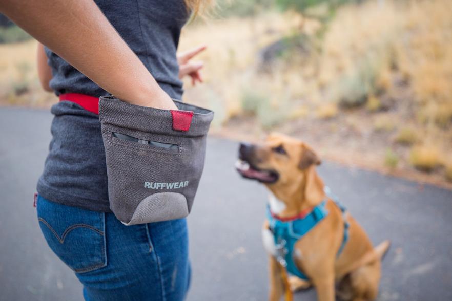 Bolso para Premios Ruffwear "Treat Trader" - Blue Pool