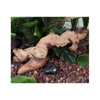 Tronco Decorativo Mopani Fluval