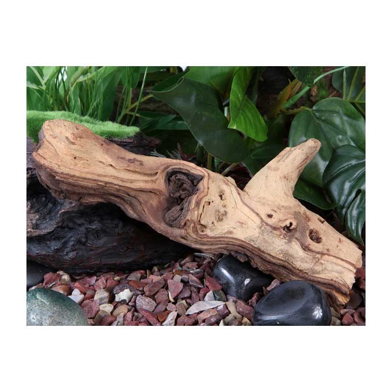 Tronco Decorativo Mopani Fluval