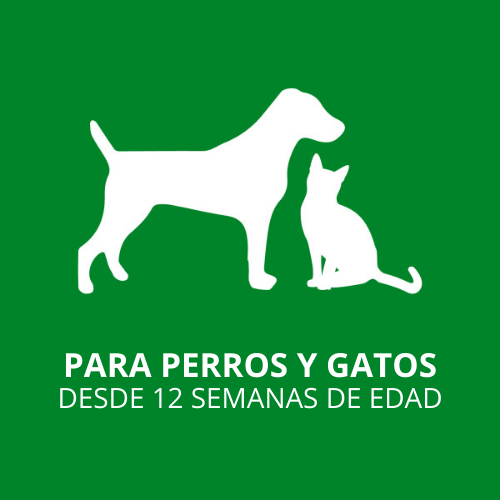 Limpiador de Oídos Tropiclean para Perros y Gatos