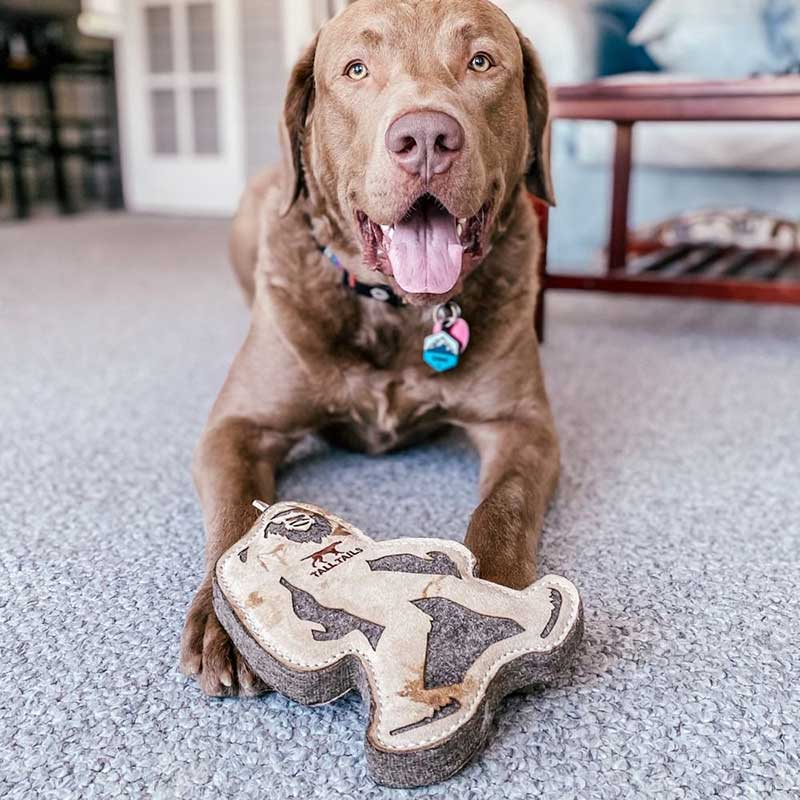 Juguete Cuero Natural "Big Jr." Tall Tails