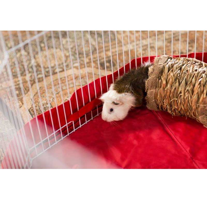 Túnel Vegetal para Pequeños Animales