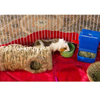 Túnel Vegetal para Pequeños Animales