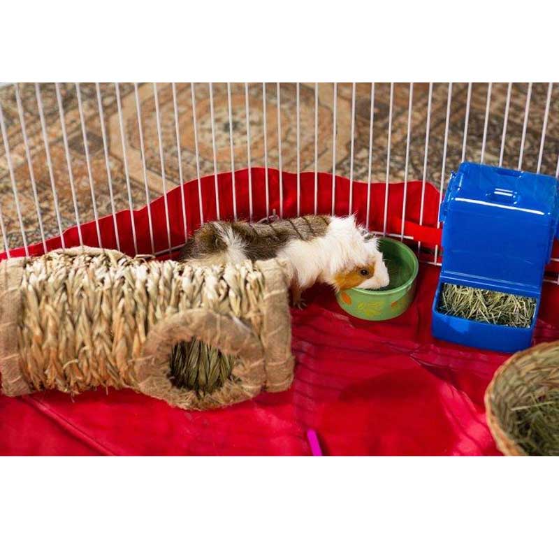 Túnel Vegetal para Pequeños Animales