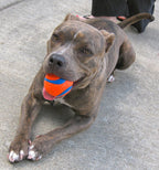 Pack de Pelotas "Ultra Ball Chuckit!" para Perros