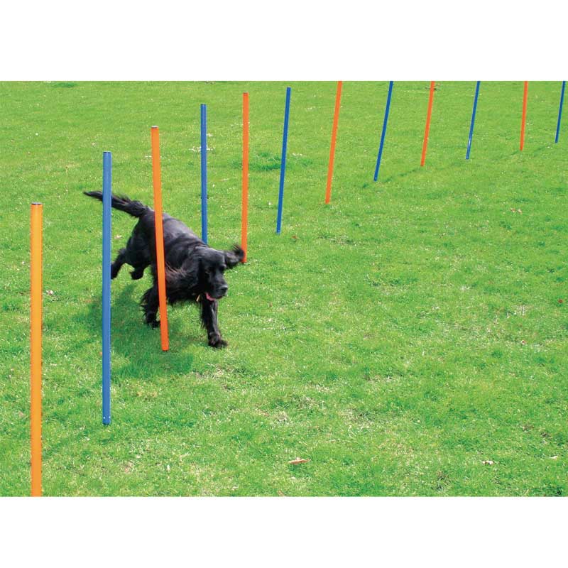 Varas para Agility Pawise