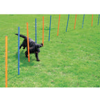 Varas para Agility Pawise