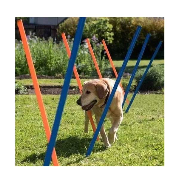 Varas para Agility Pawise