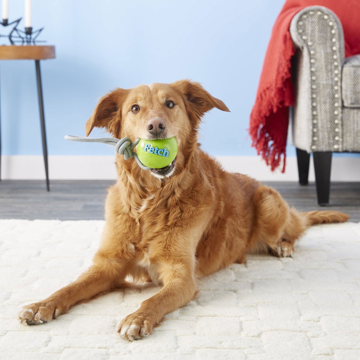 Planet Dog Fetch Ball con Cuerda