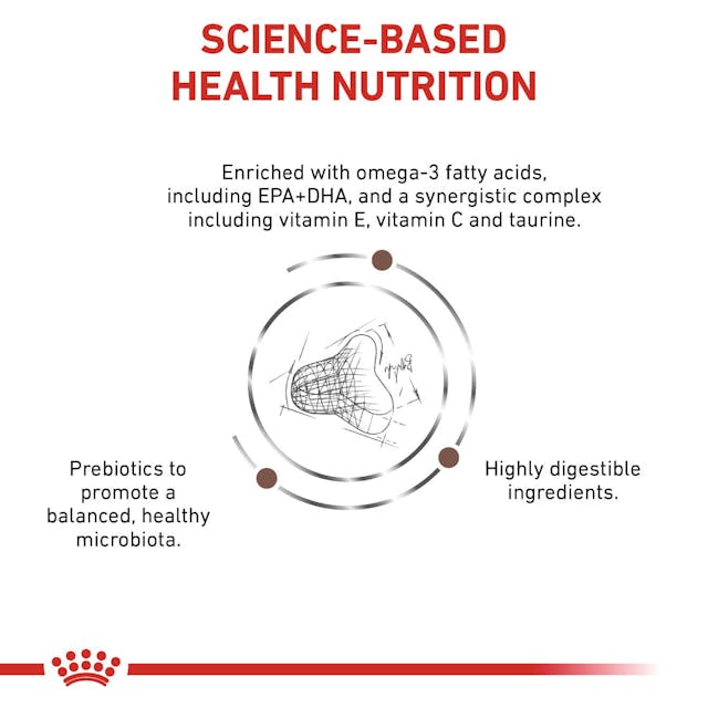 Royal Canin Gastrointestinal Fibre Response para Gatos 2 Kg