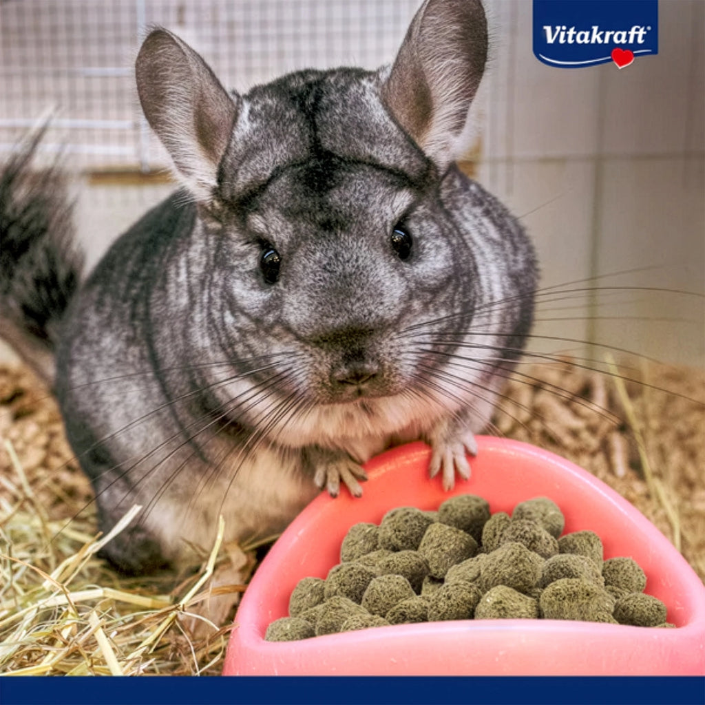 Vitakraft Vita Special para Chinchillas, alimento all in one para todas las edades con dos chinchillas en envase verde.