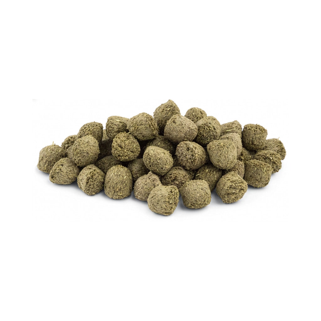 Vitakraft Vita Special para Cuyes Adultos, alimento balanceado con timothy y bajo calcio, presentado con dos cuyes.