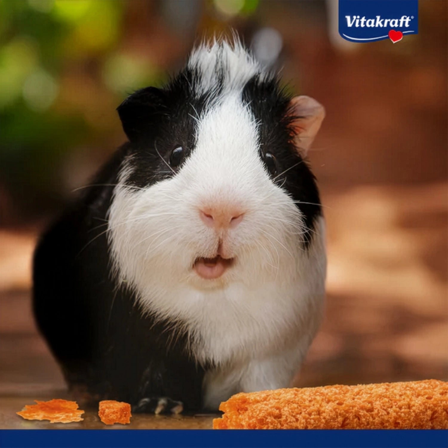 Vitakraft Snack Carotties para Pequeños Animales, snack crujiente con zanahoria para conejos, cobayas y hámsters en bolsa verde.