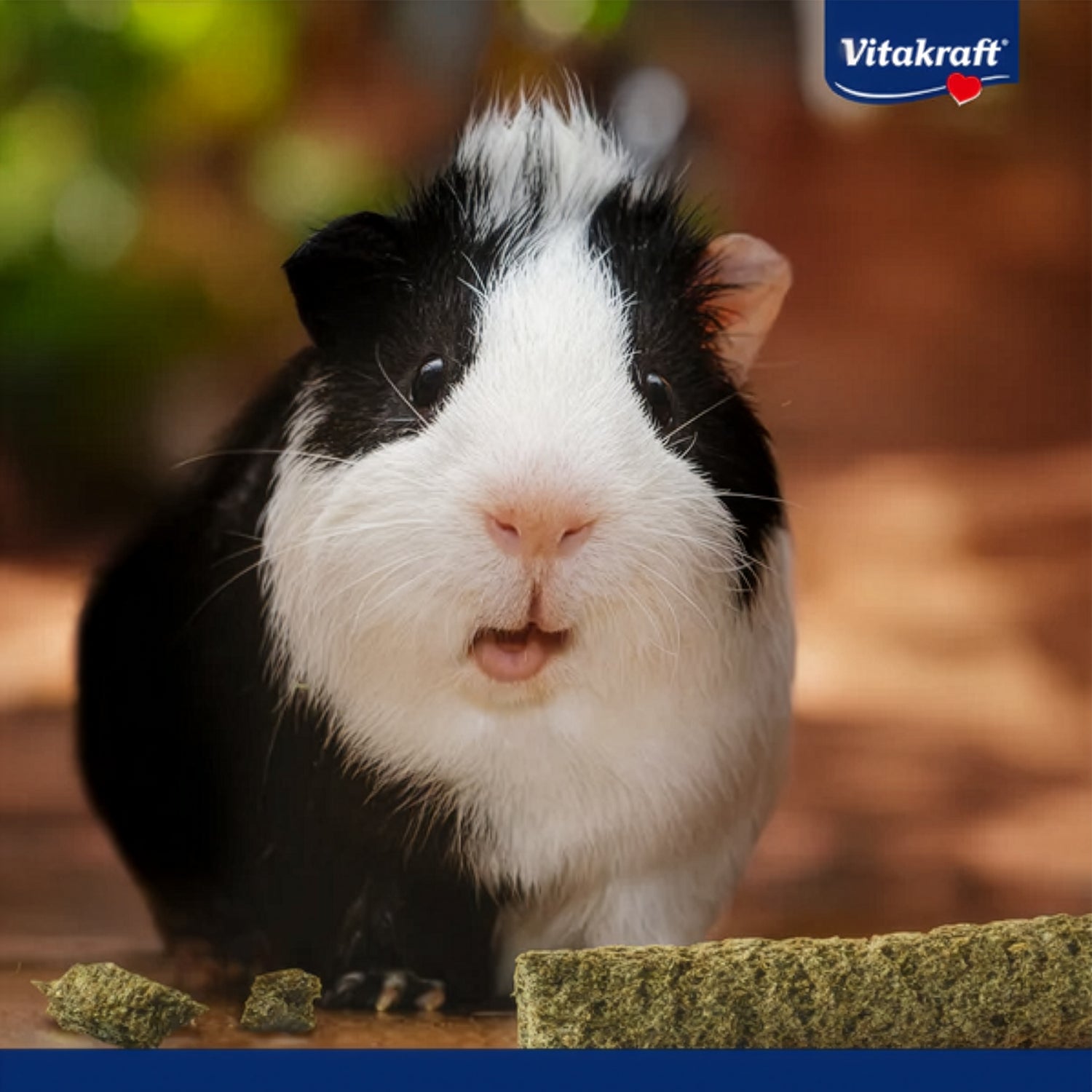 Vitakraft Snack Grünlinge para Pequeños Animales 50 g
