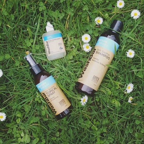 Shampoo Calmante de Picazón en Perros