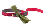 Correa Manos Libres "Flat Out" Ruffwear para Perros - Wildflower Horizon