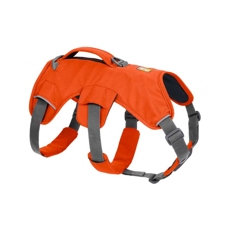 Arnés para Perros Ruffwear "Web Master" - Blue Dusk / XXS