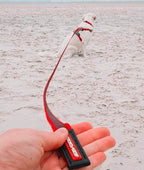 Correa larga "Track N Train" Ezydog 