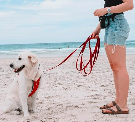 Correa larga "Track N Train" Ezydog 